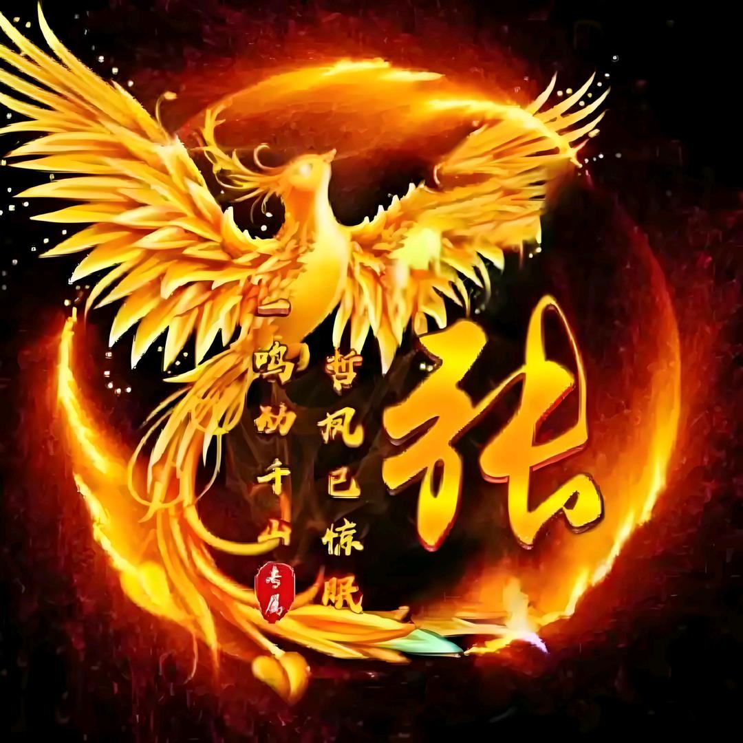 张照臣