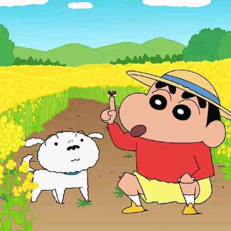 云南阿春哥