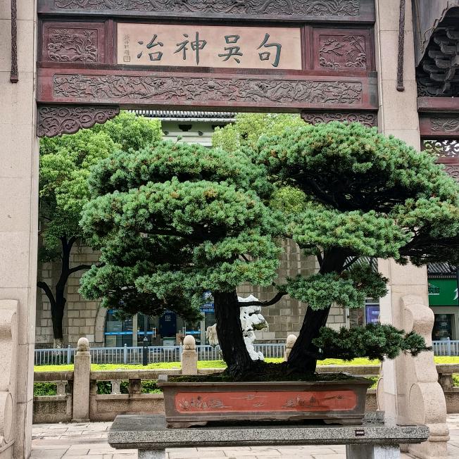 开心快乐🤗🤗😘😘