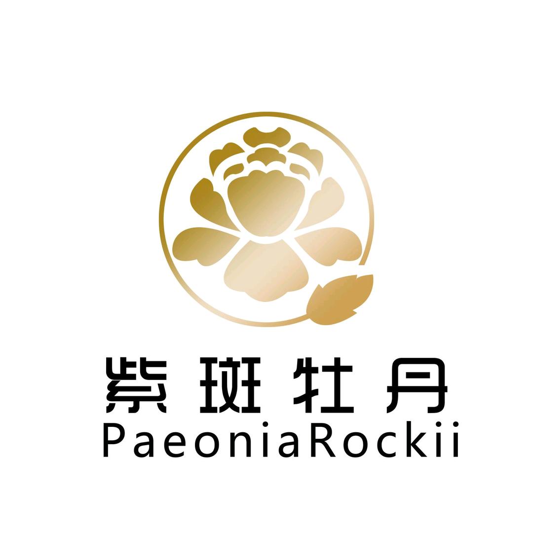 甘肃花多多紫斑牡丹花卉种植基地