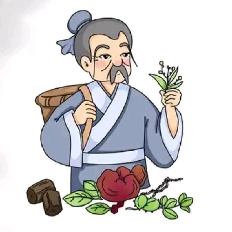 本色熊大健康