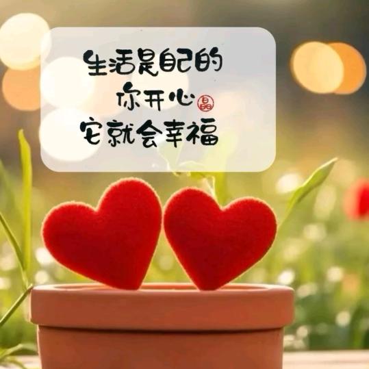 🌹玫瑰🌻煮酒🌺37.2℃度🐚