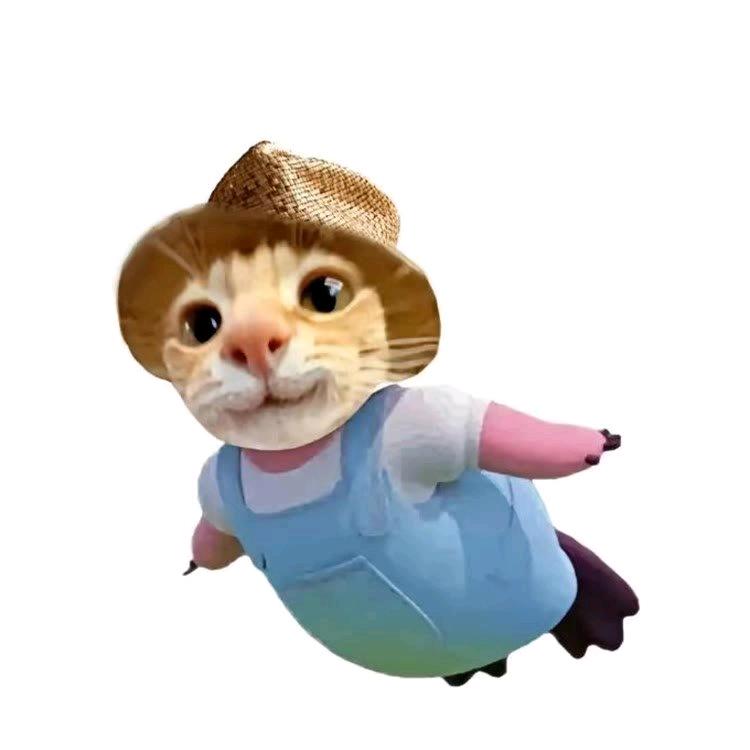 www