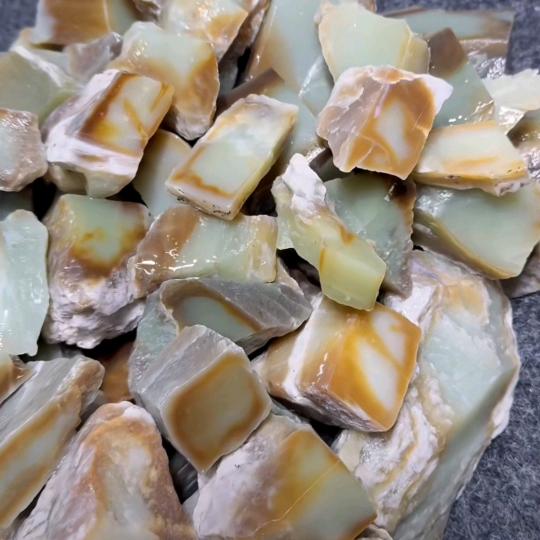 玉石~可爱的一家💗