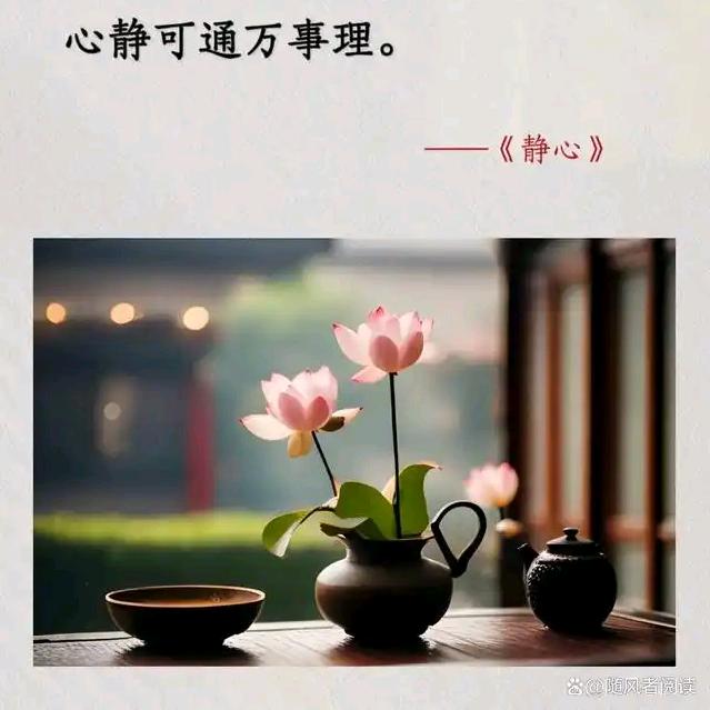 顺风顺水🧧🧧