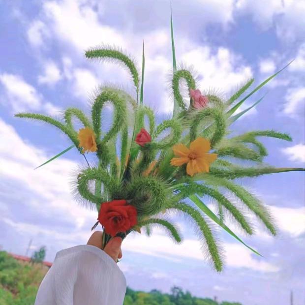 豆芽_♡