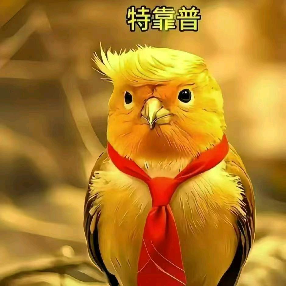 上海特靠谱租房（正能量｜免中介费）