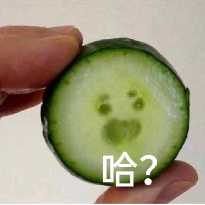 摆烂小烤肠