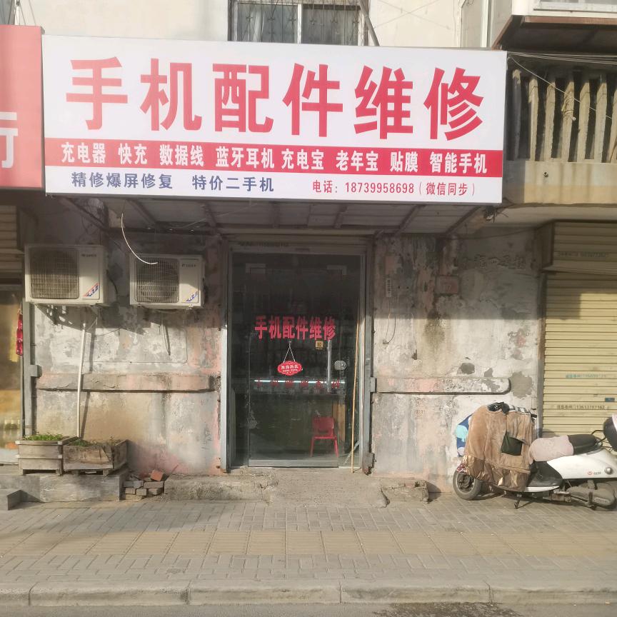 小鸟🐦鸽子🕊️