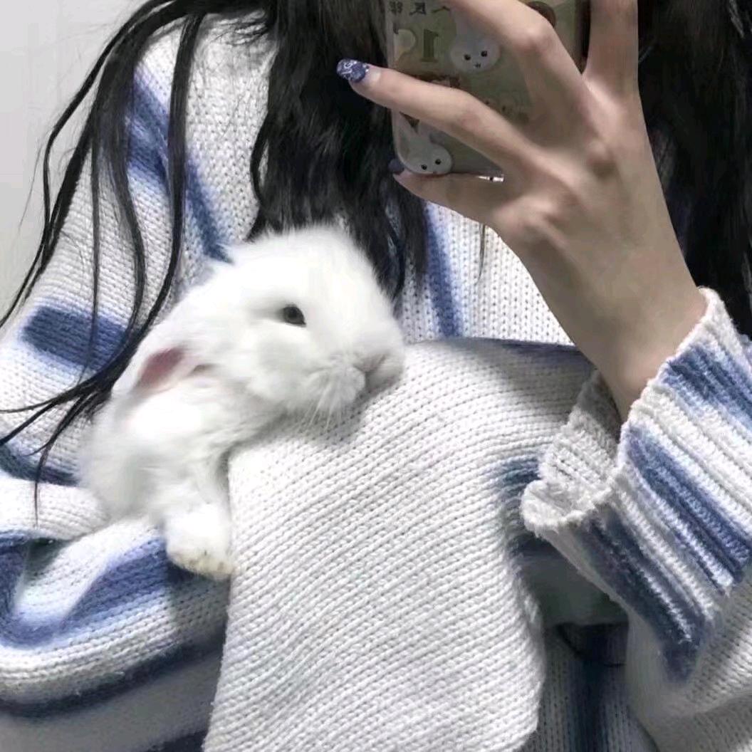 走一步看一步