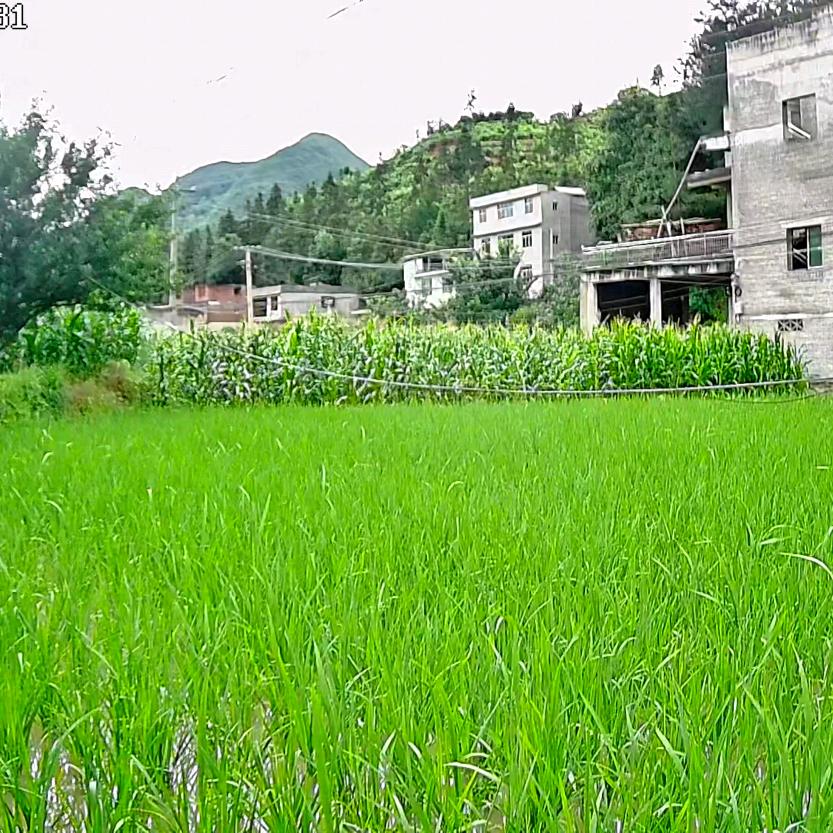 人生看淡一切。