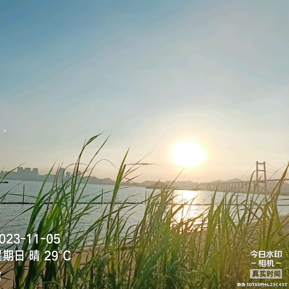 忠诚卫士⭐邓启芳