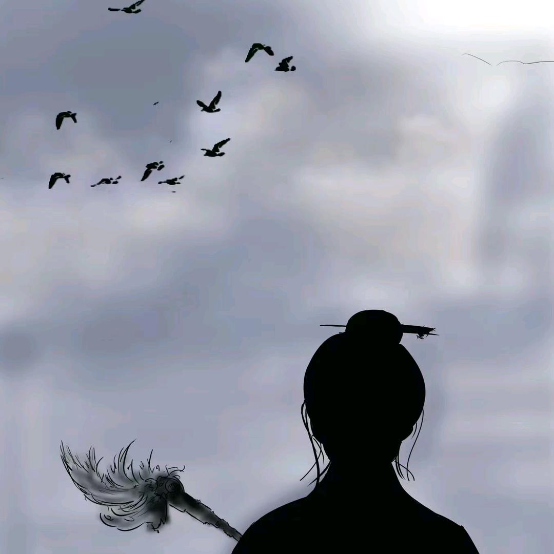 山酉:人生算法顾问
