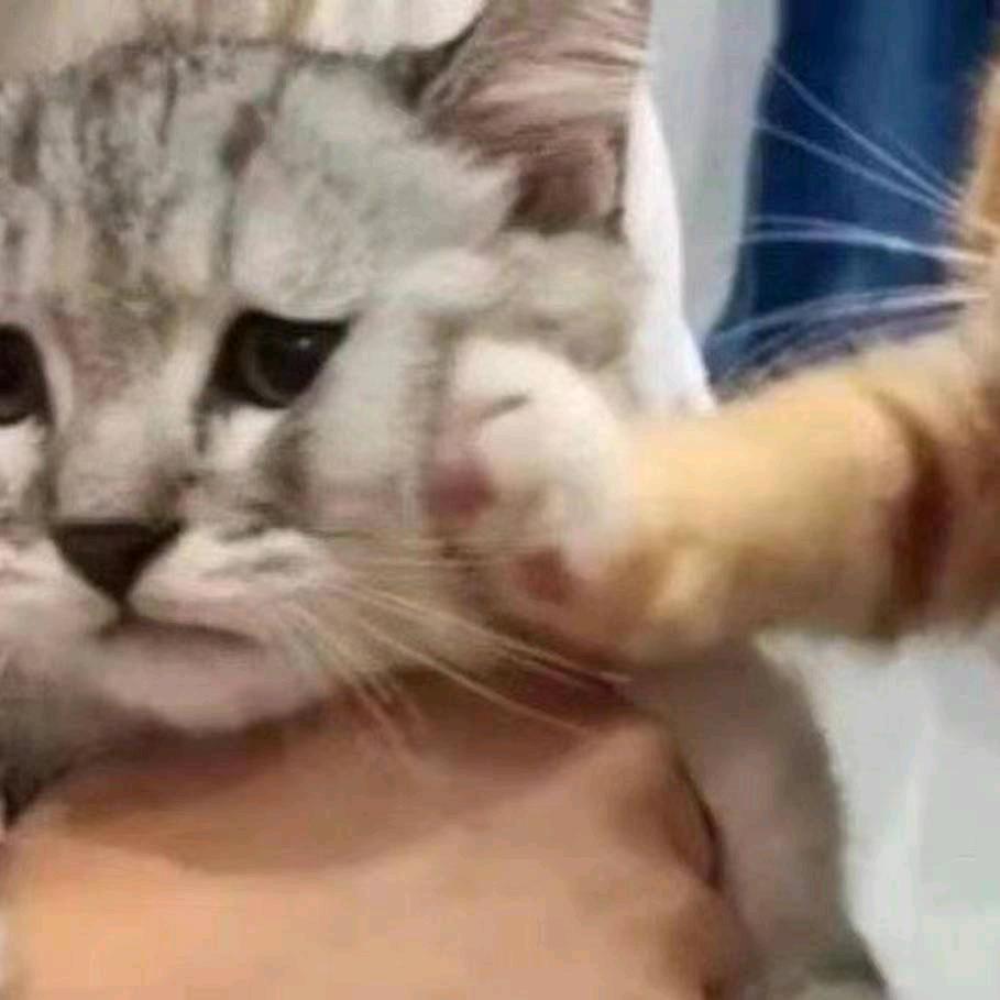 pabo×🥠💦🏅️