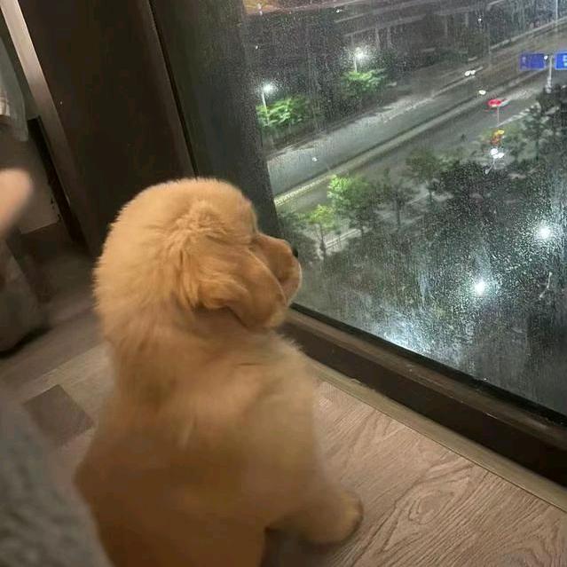 人生何处不相逢