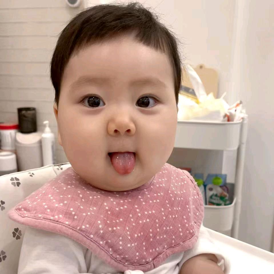 黑夜虾BB