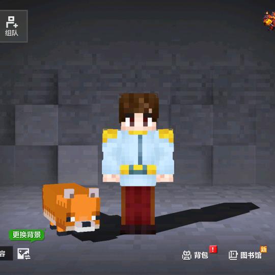 我的世界小小鸡