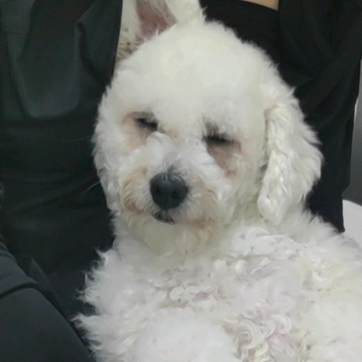 来福 来财 吉祥