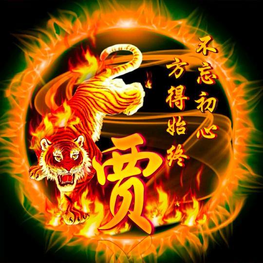 🇨🇳007