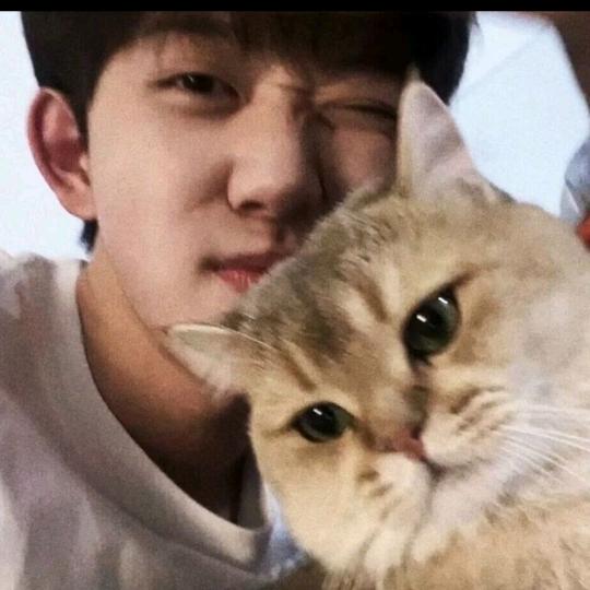 问就是超级无敌大帅哥