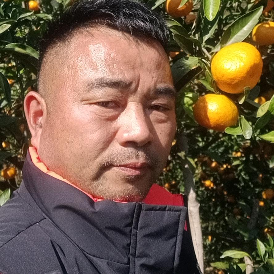高、团长