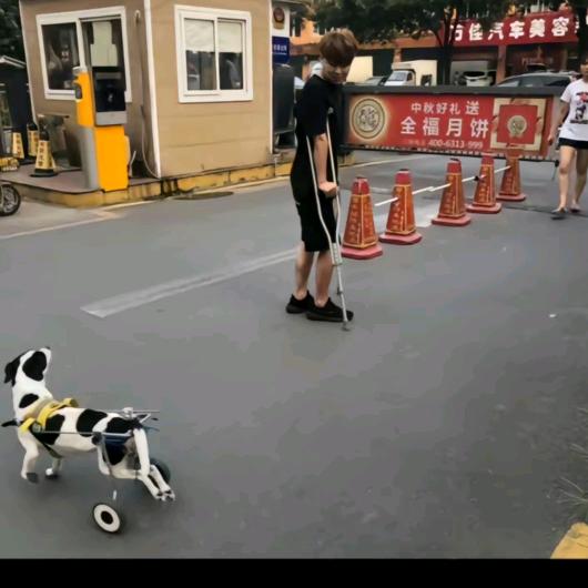 cs切片机