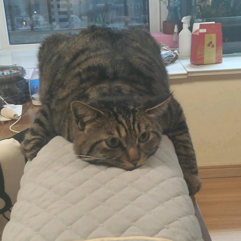 正阳汽车服务部