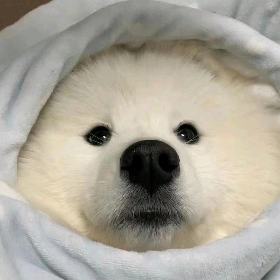 小余呀～
