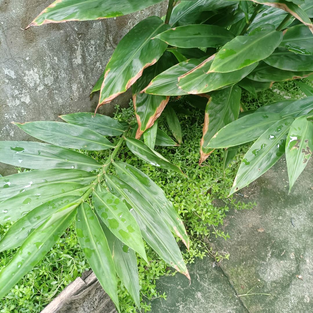 朱艳姐早上6点20开