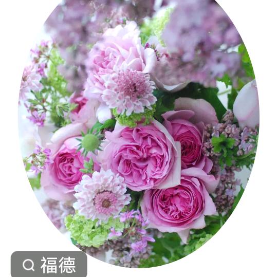 岁月留芬芳