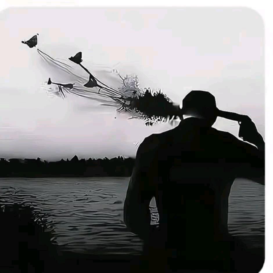 辉之歌