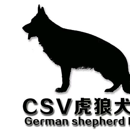 连云港 CSV 虎狼犬舍