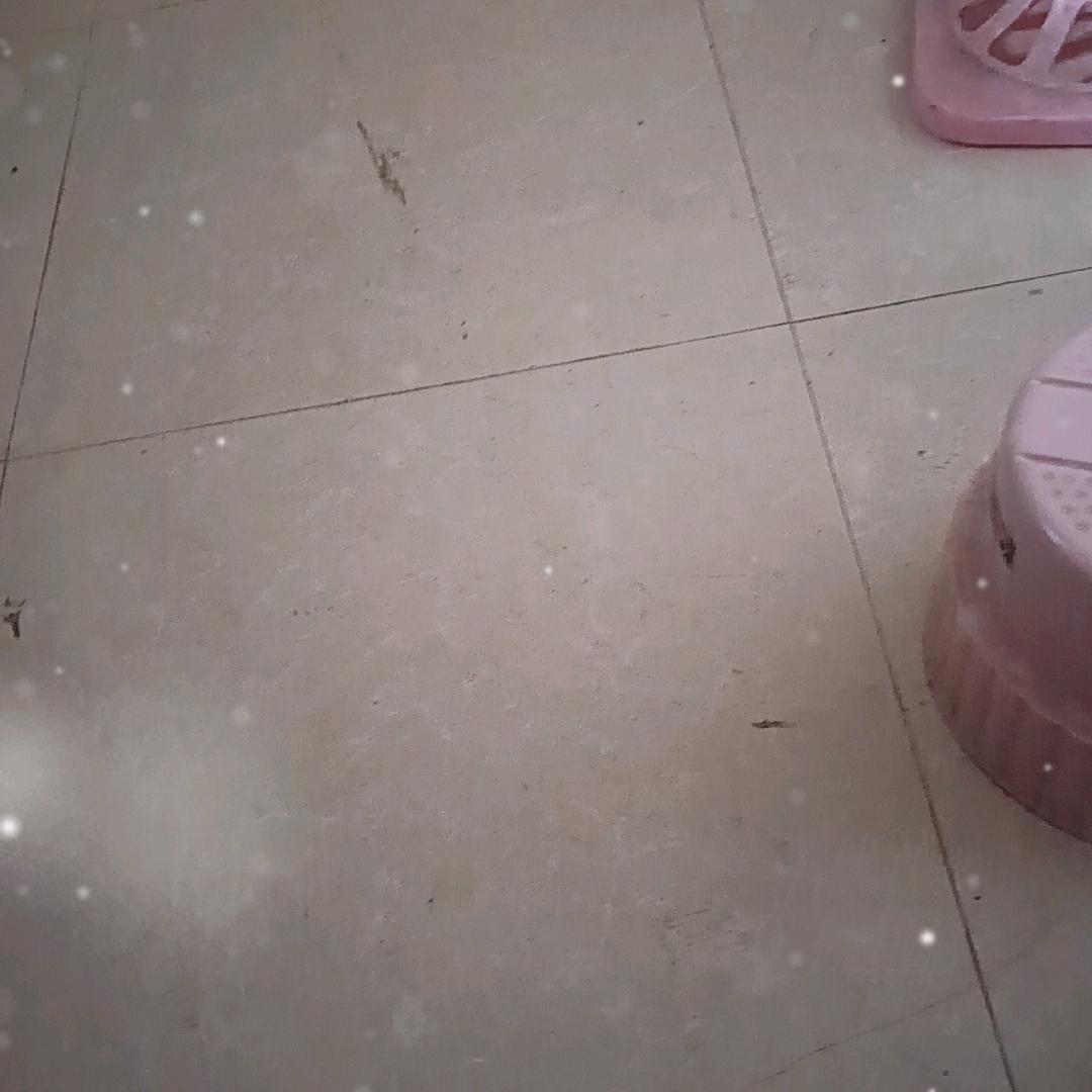 山口两广场菜批发