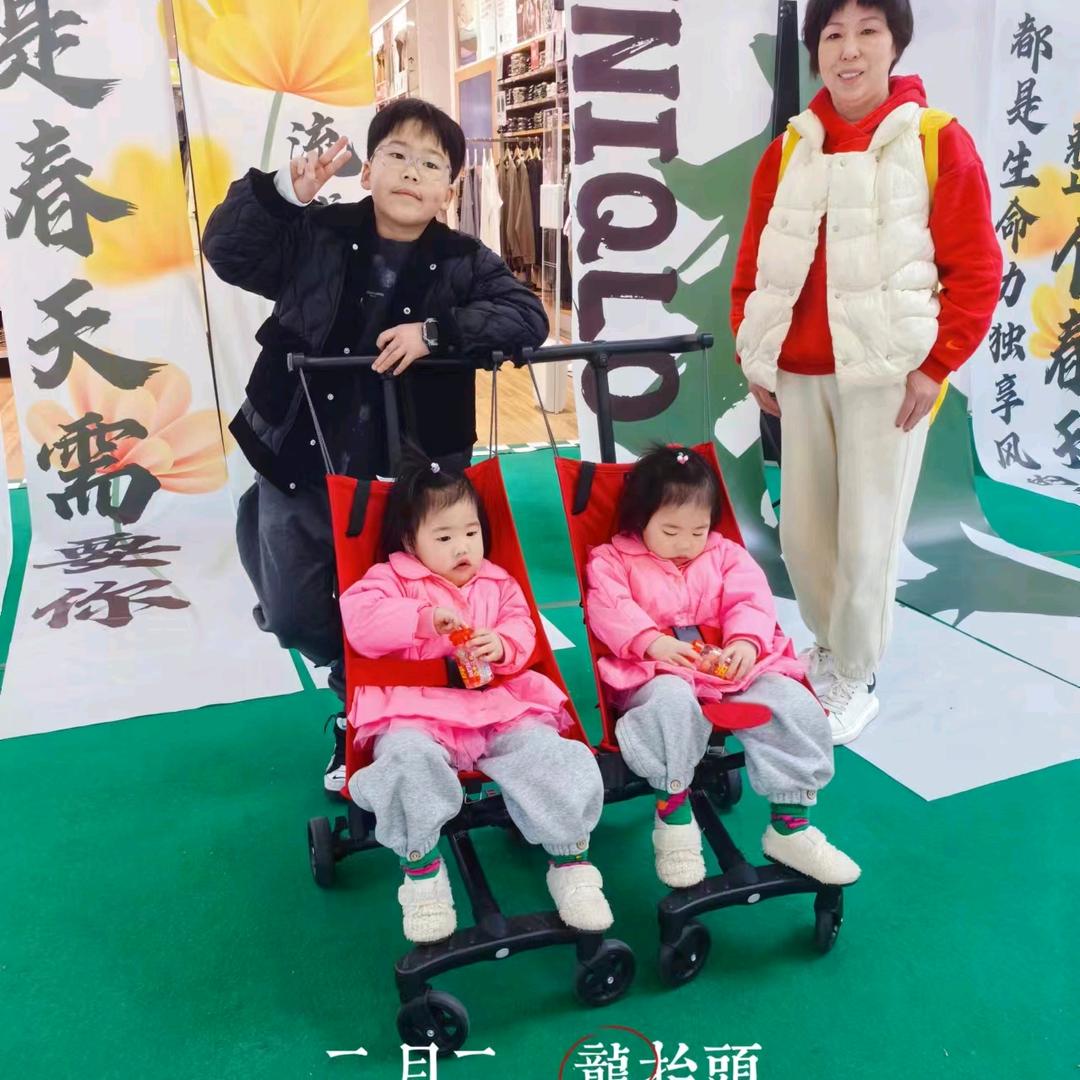 蝴蝶飞飞