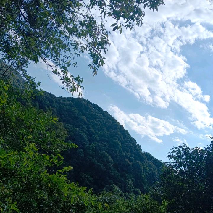 人间李想