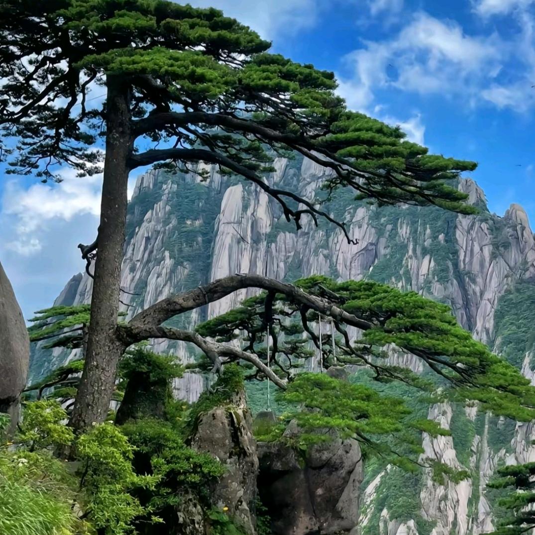 溜溜达达