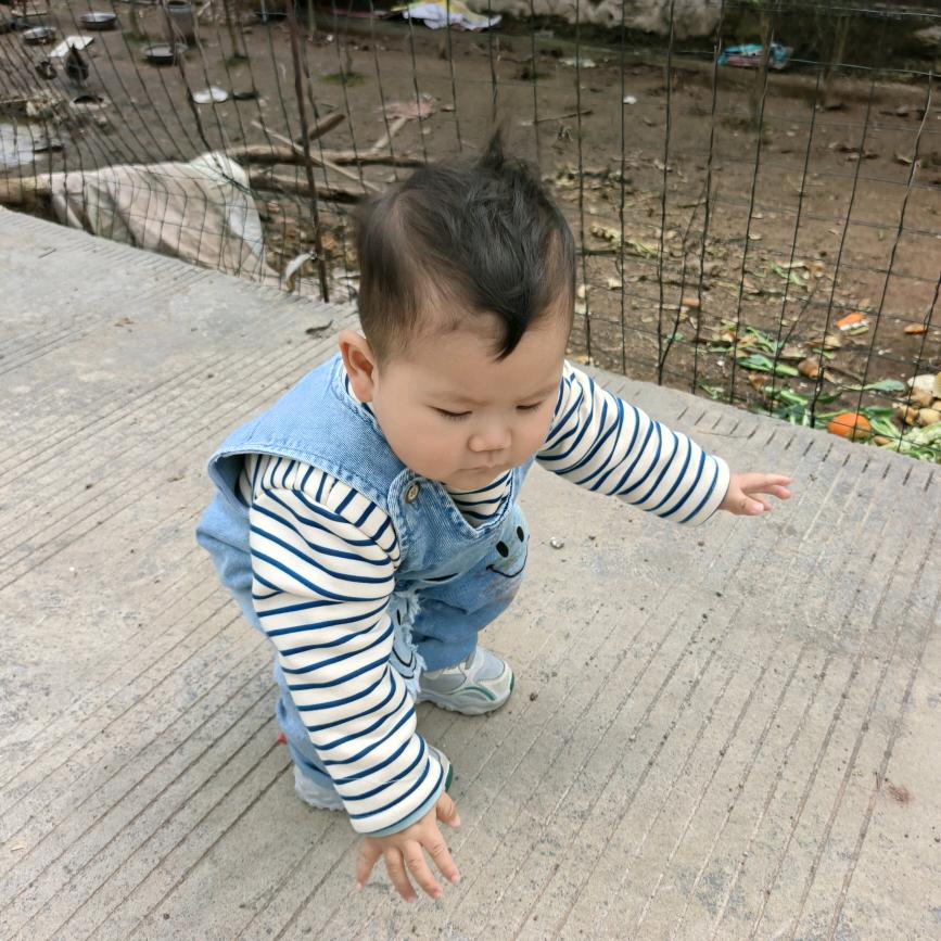 华仔宝贝（请勿连赞）
