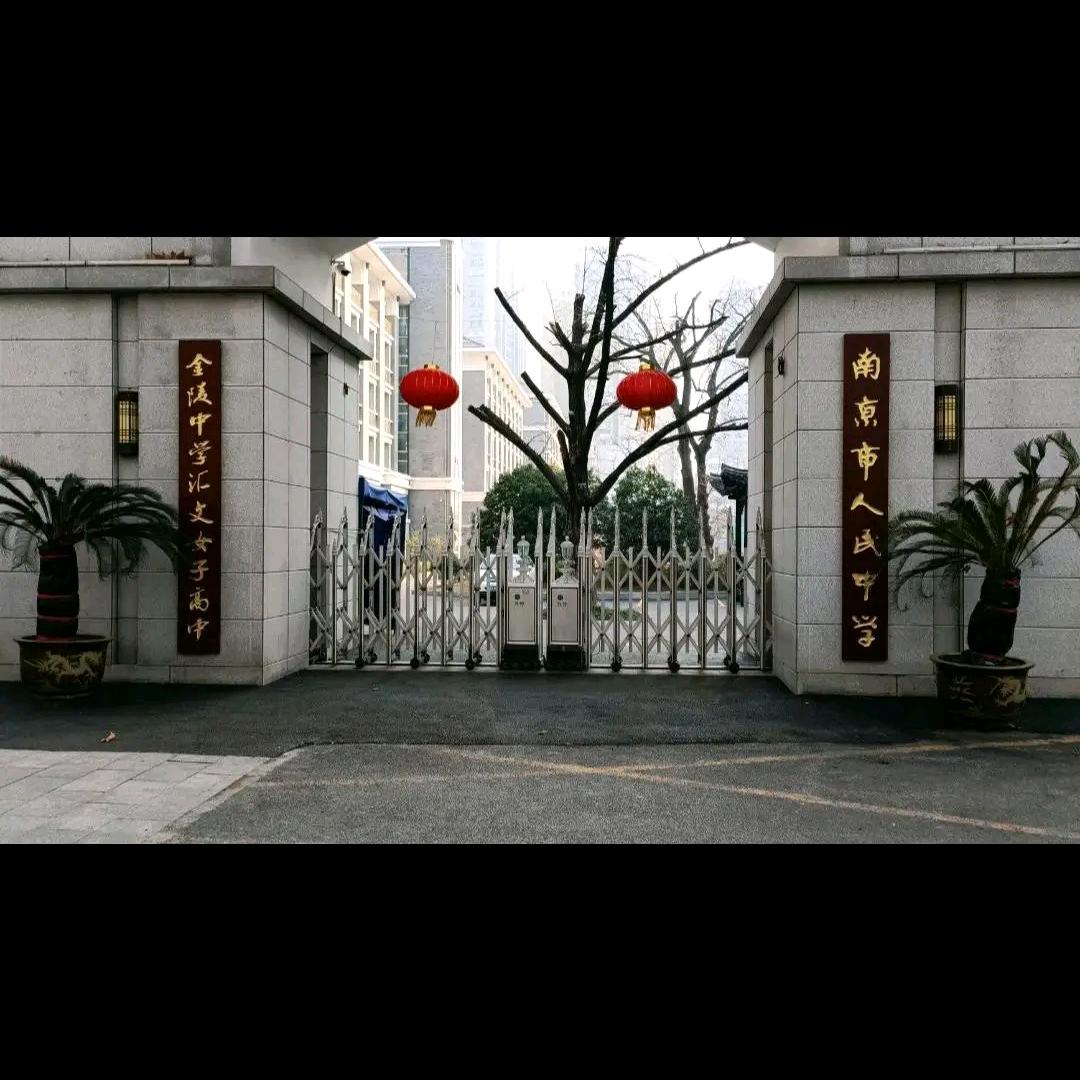大树