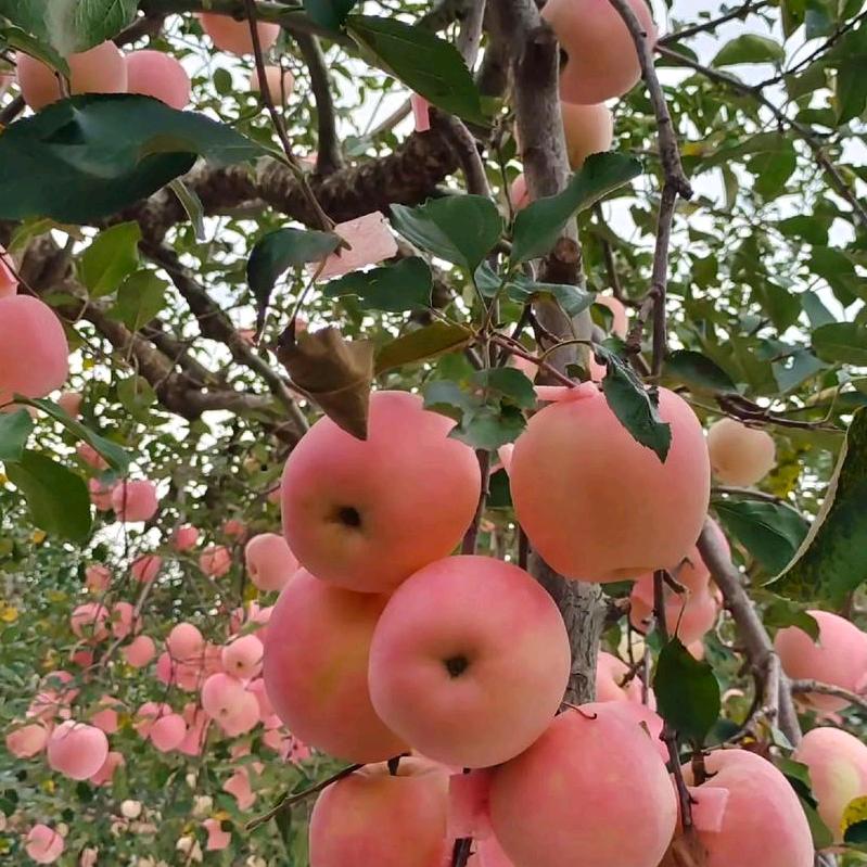 百里峡钰泉阁农家院