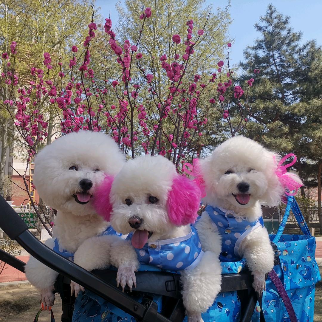 憨熊快乐3️⃣宝