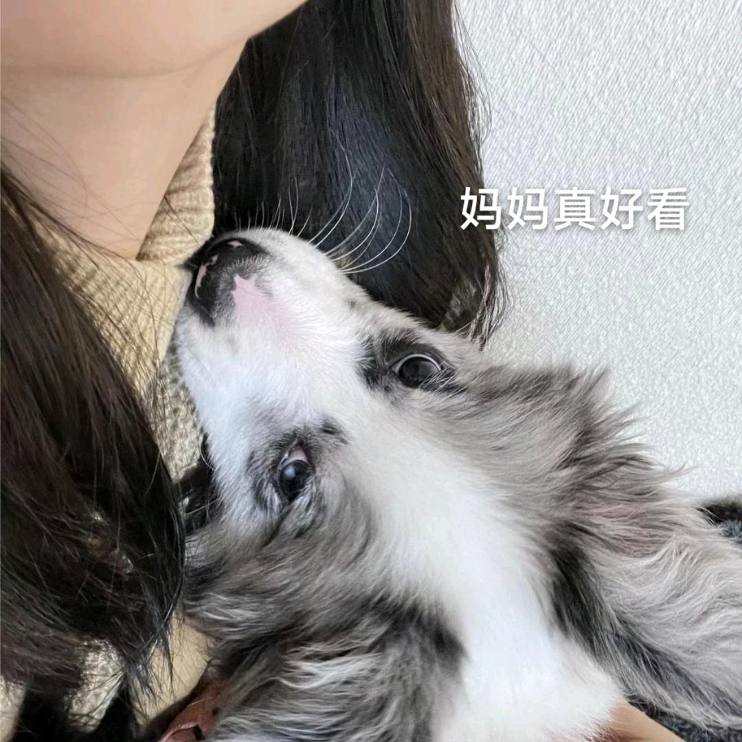 真我无敌