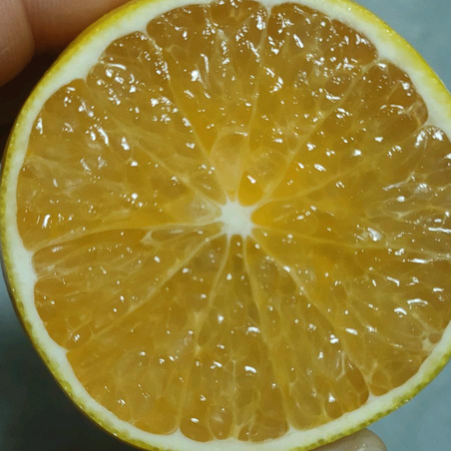 新球 农业