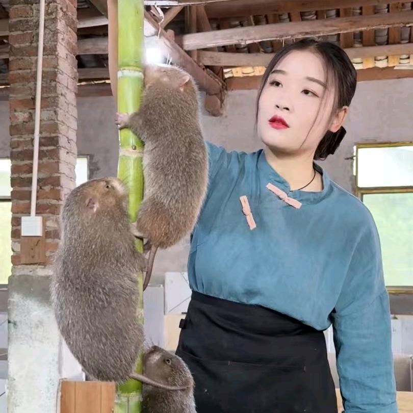 虔城小花妹妹