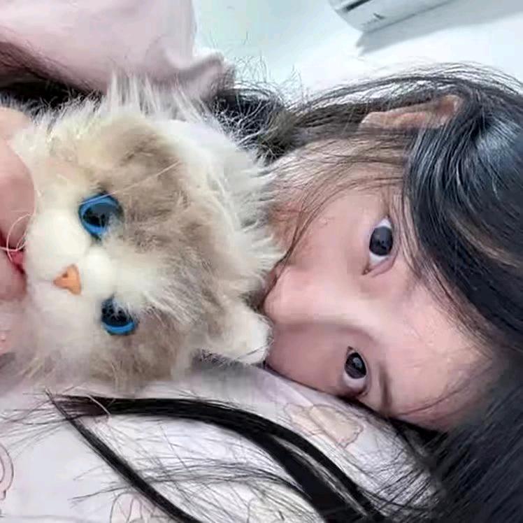 ^晚安🐾^