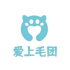 爱上毛团