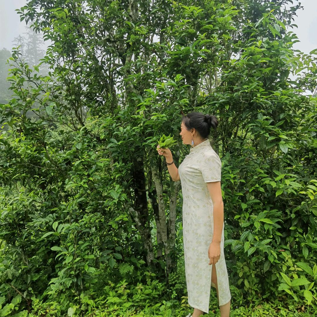 南疆记忆