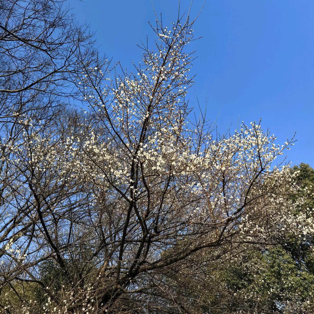 宁波海曙星玥贸易商行