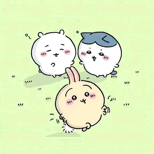 美乐蒂重度依赖