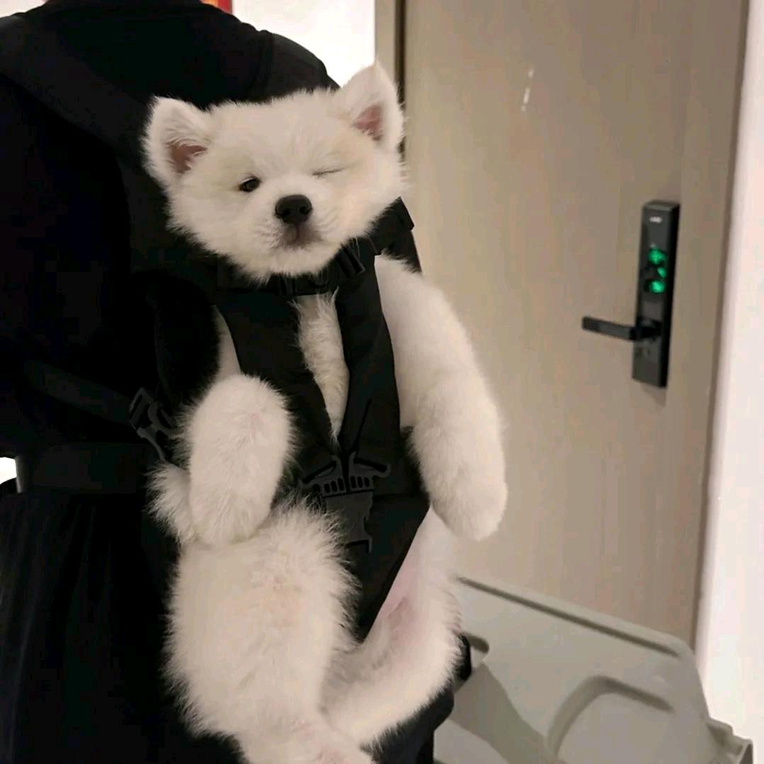 林林林林林林林