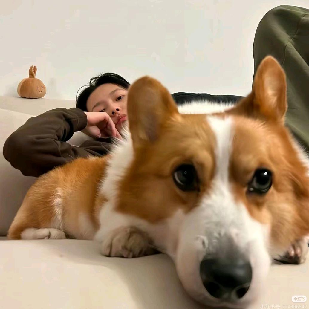 爱喝咖啡的猫